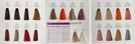 Nouvelle Fluid Color Shade 9.32 60ml zeer licht violet goud blond